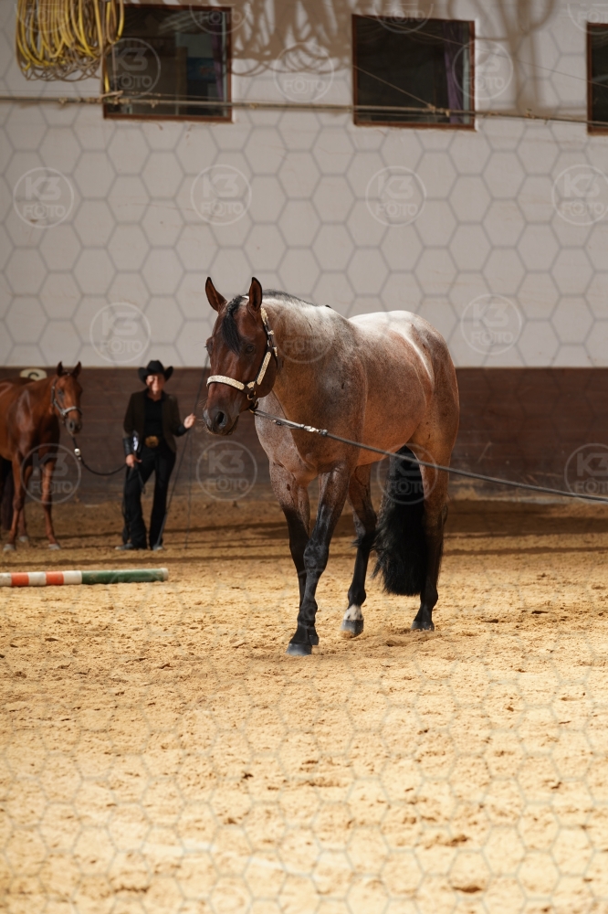 s_A9_08451.jpg